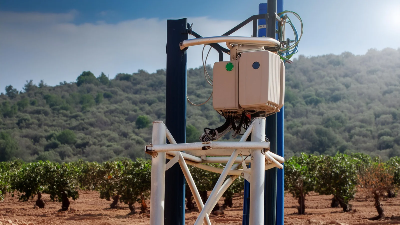 sensors pistachio planting