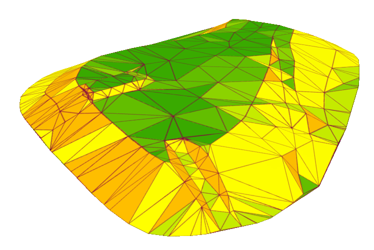 Surface created by triangulated irregular network (TIN) symbolised by its slope.